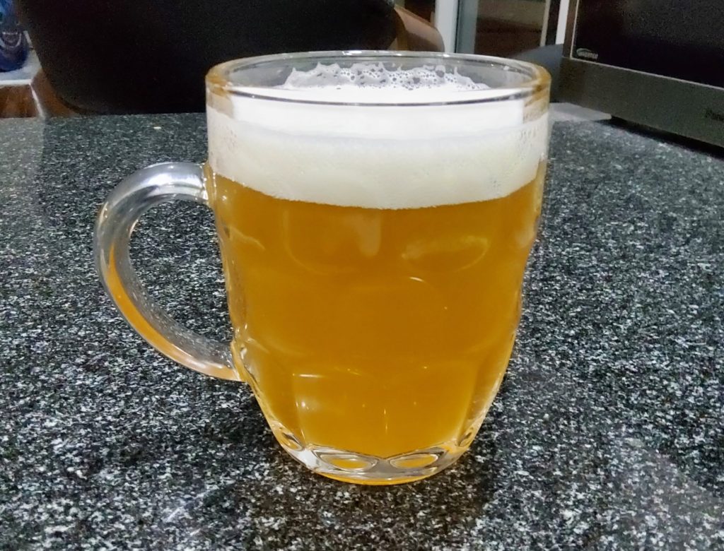 Bearded Dragon First Pour